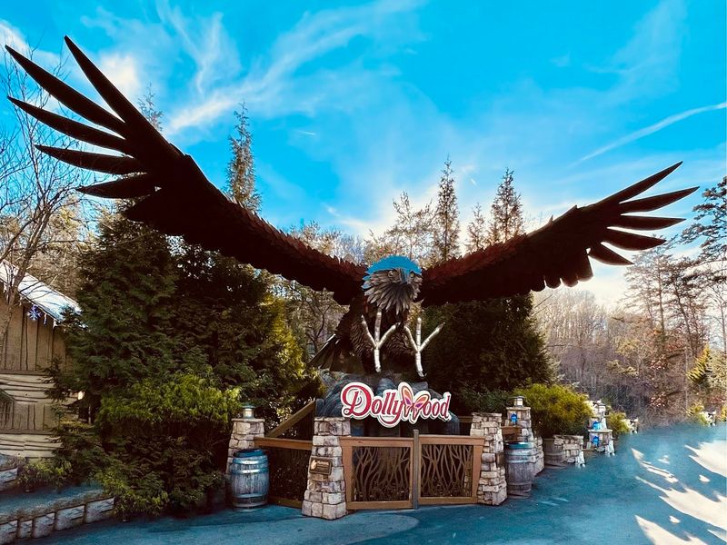 The Bald Eagle Sanctuary Surprise