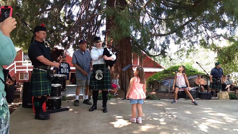 Weekend Live Music And The Relaxed Farm Atmosphere