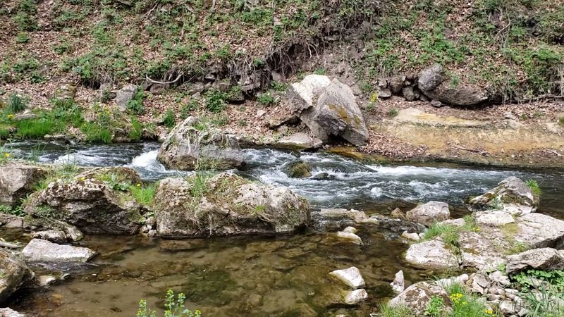 World-Class Trout Fishing In Spring-Fed Streams