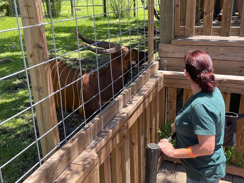 Hands-On Animal Experiences For Every Age