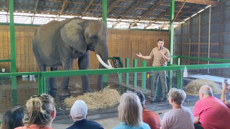 The Educational Elephant Encounter