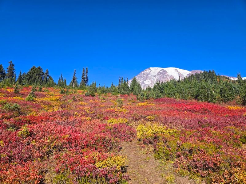 Skyline Trail