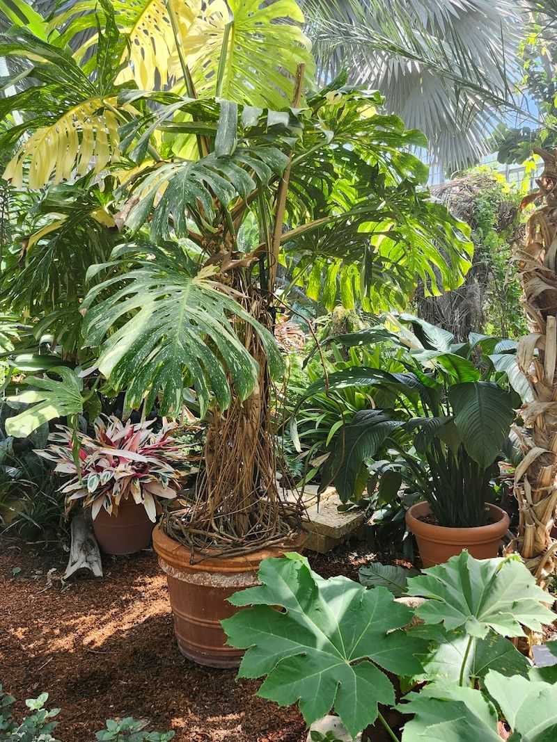 The Arboretum And Bird Sanctuary Is Four Acres Of Regional Plant Life And Migratory Wildlife