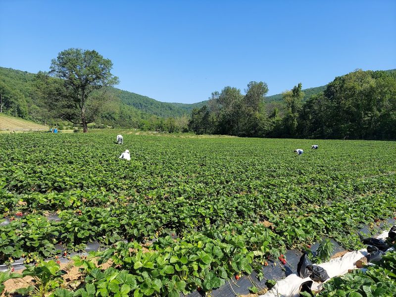 Breathtaking Blue Ridge Mountain Views