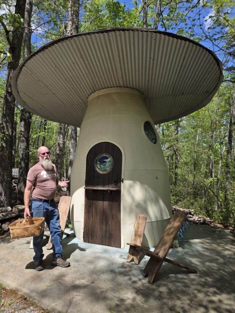 Your Mushroom Guide