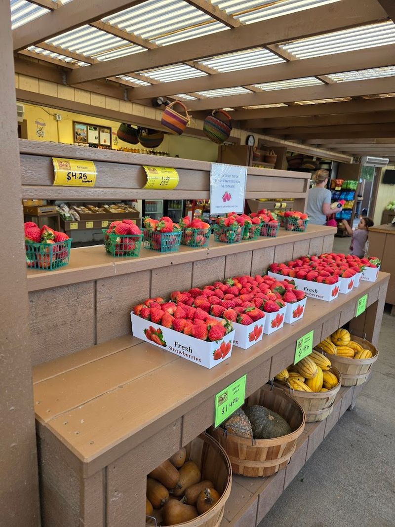 Planning Your Visit Around Strawberry Season