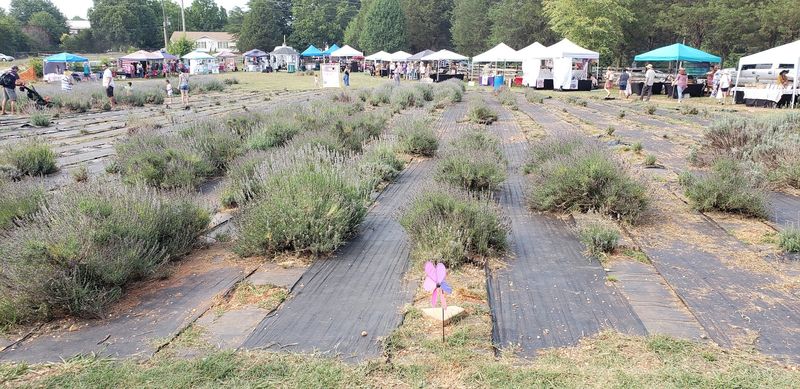 Community Spirit And Welcoming Atmosphere