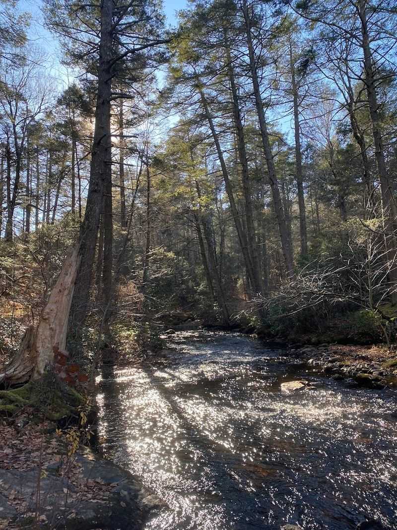 A Woodsy Escape In East Haddam