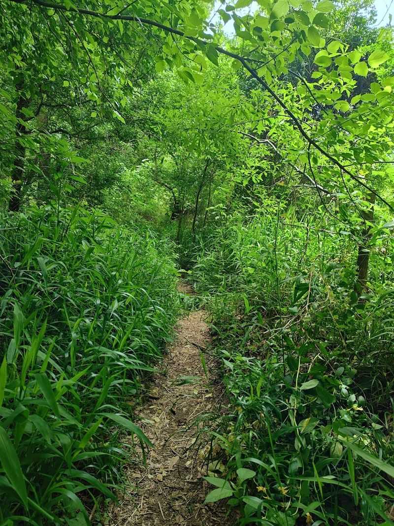 Rare Solitude In A Crowd-Free Natural Setting