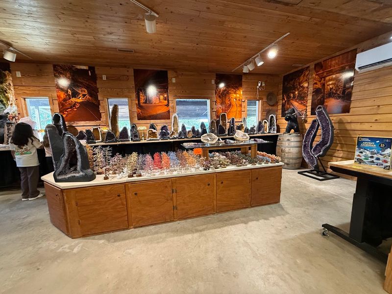 A Gift Shop Stocked With Genuinely Unique Finds
