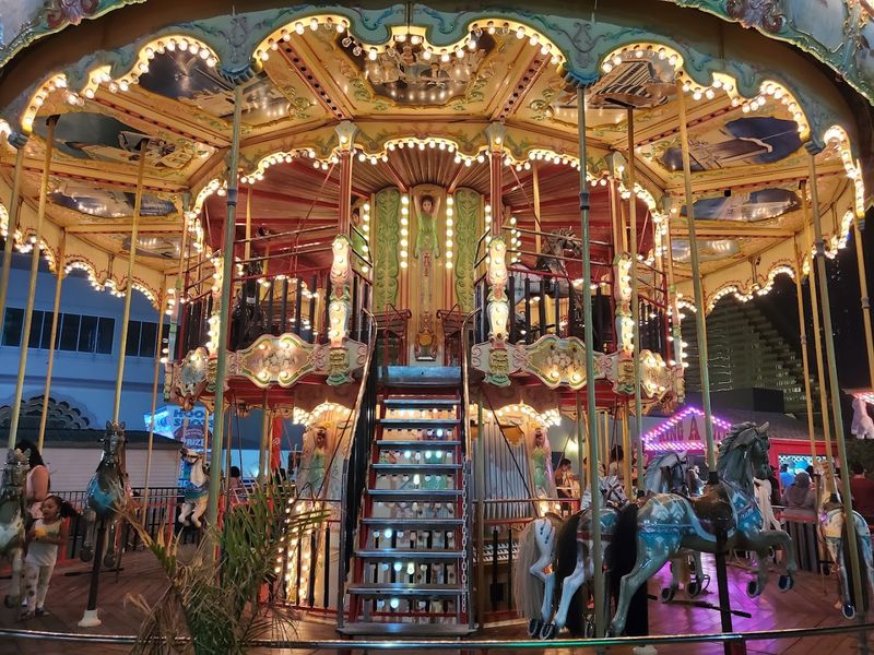 Rides That Make Your Stomach Remind You It Exists