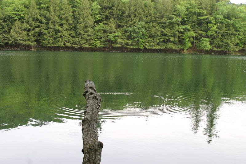 The Lake Itself Is The Star Of The Show