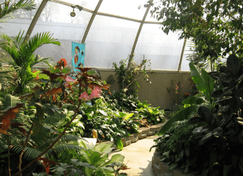 The Conservatory That Feels Like Another World