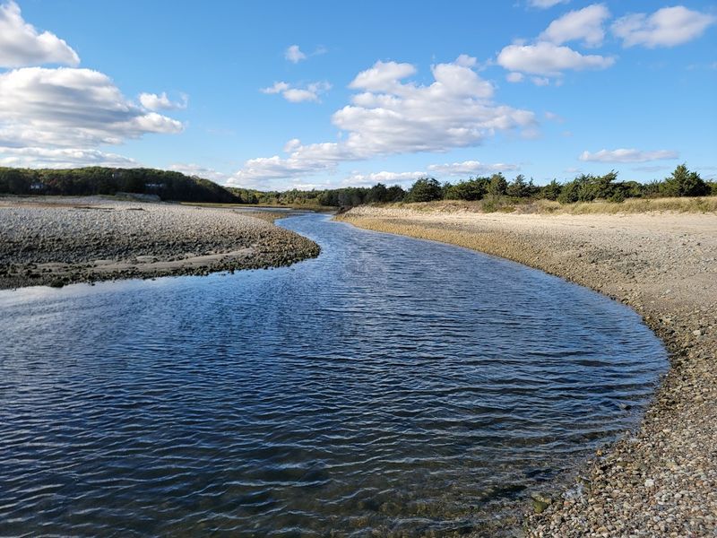 The Tidal Estuary That Changes Every Single Visit