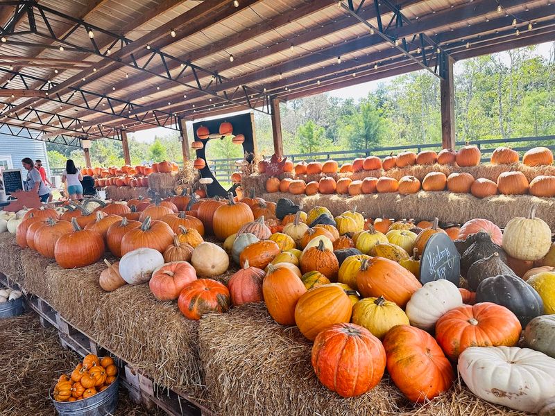 Festivals That Fill The Calendar