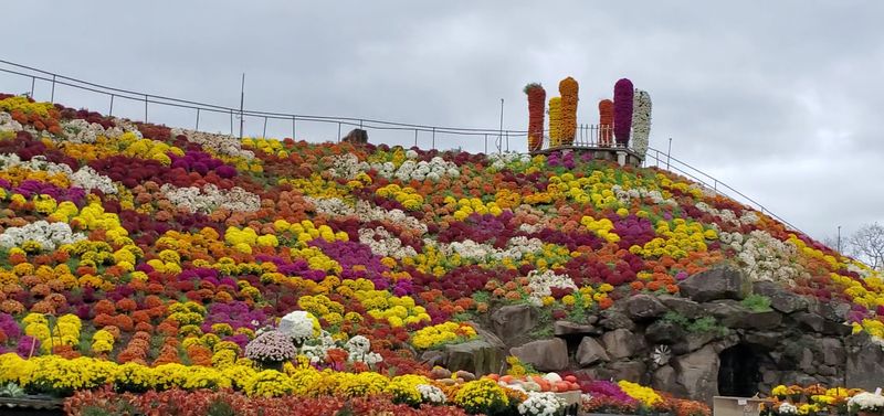 The Towering Hillside Display That Stops Traffic