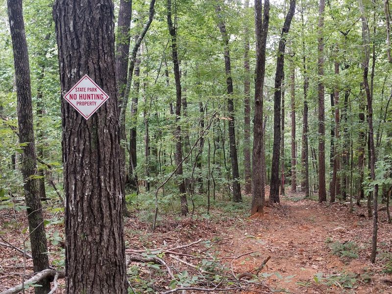 The Trail System