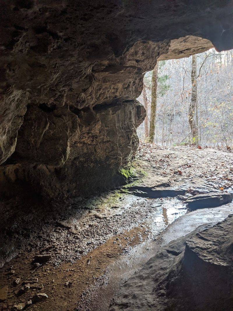 The Rocky, Rooty Challenge