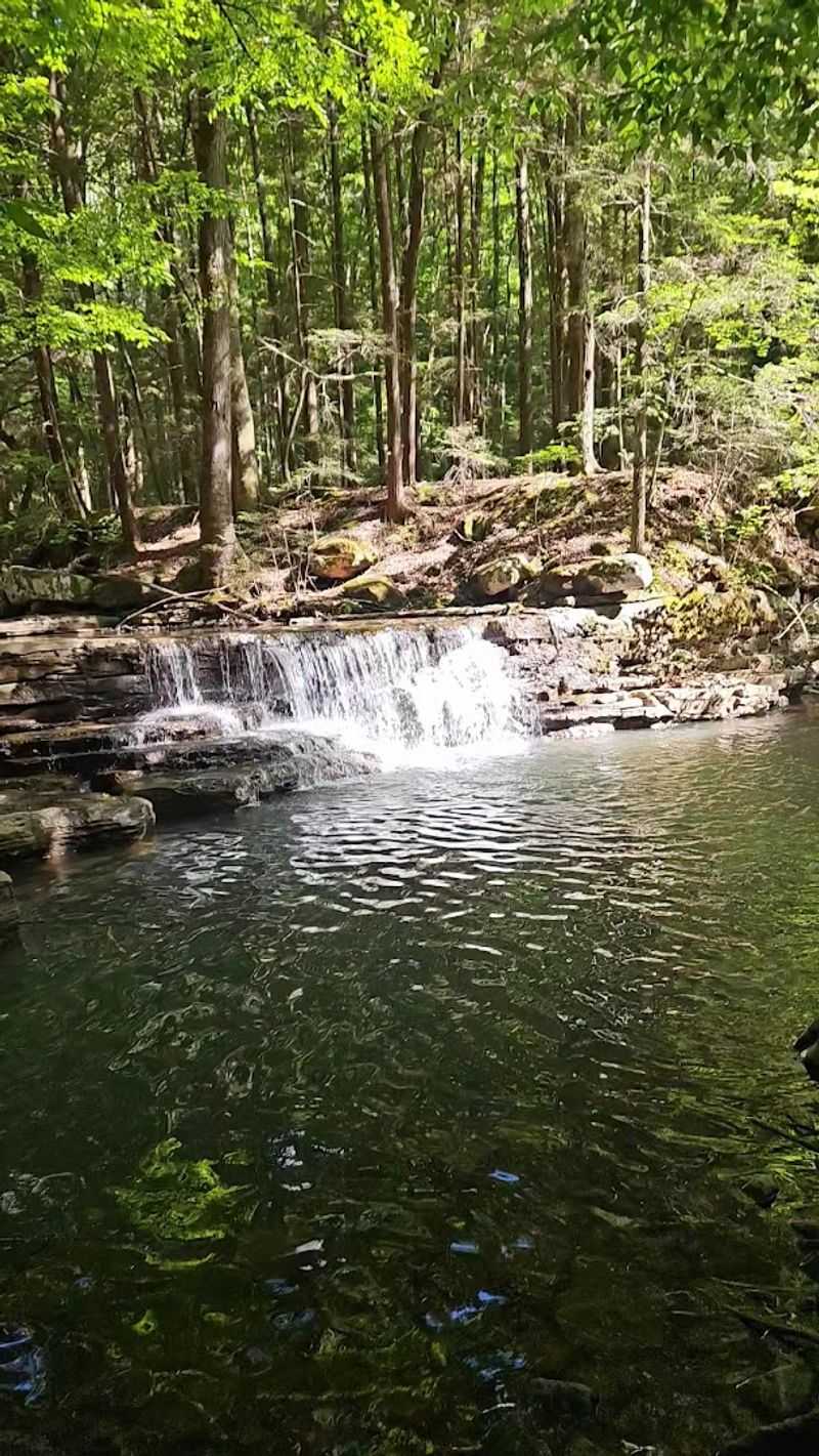 Hemlock Falls Up Close