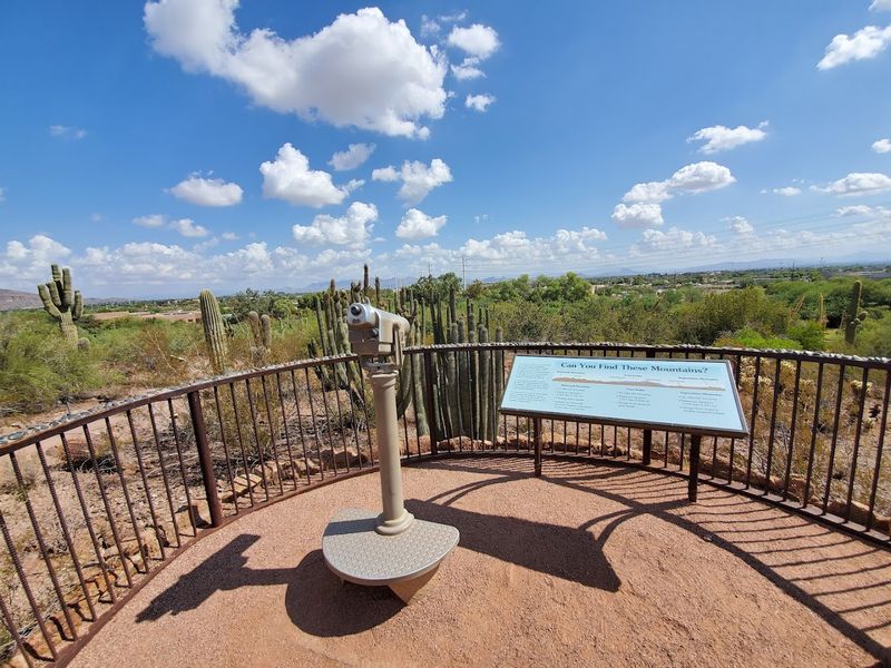 One Of Arizona's Most Beautiful Gardens Is Hiding In The Middle Of The Desert - Decor Hint The Art Installations That Change How You See The Desert