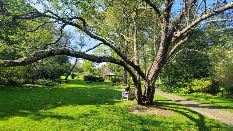 You Could Easily Spend An Entire Day Wandering This Beautiful Massachusetts Garden - Decor Hint Why This Garden Stays With You After You Leave