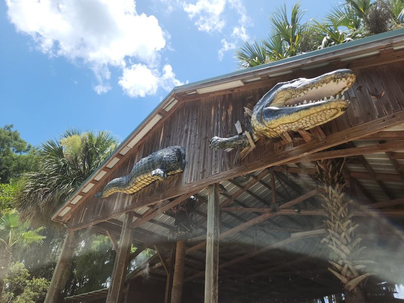 The Chomp House Grill And Swamp-Inspired Eats