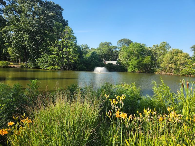 A Peaceful Walk Past Flowers And Fountains