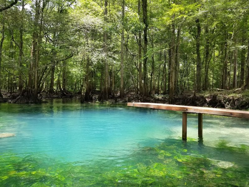 Swimming, Kayaking, And The Chipola River Right Next Door