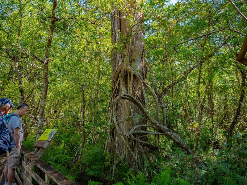 Guided Tours That Unlock A Completely Different Experience