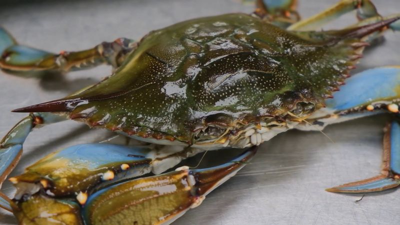 Maryland Blue Crabs Done The Right Way