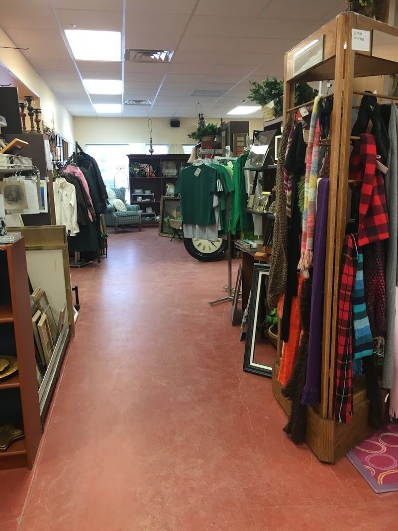 A Thrift And Furniture Combo Makes The Browse Feel Bigger