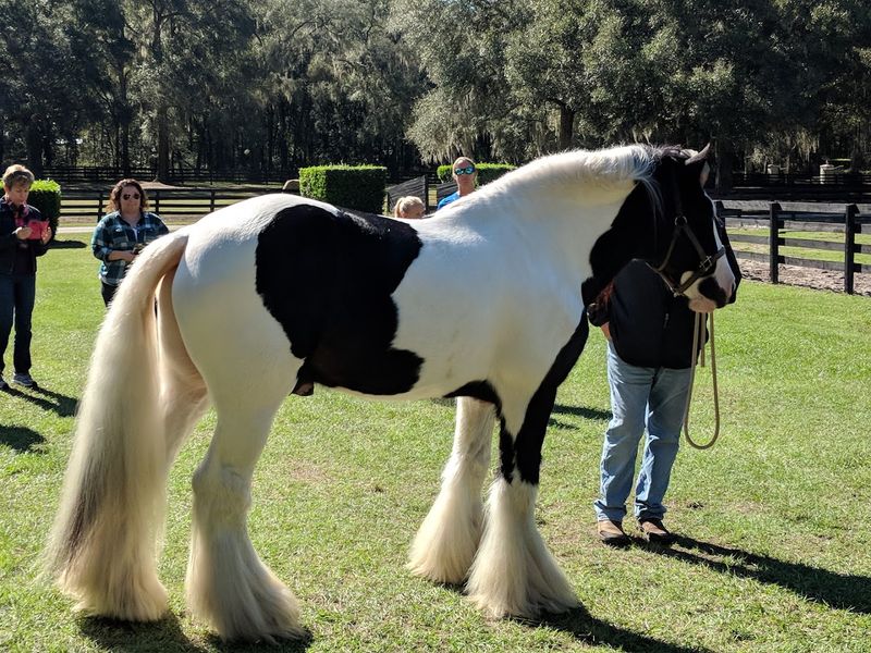 Why This Farm Belongs On Your Florida Bucket List
