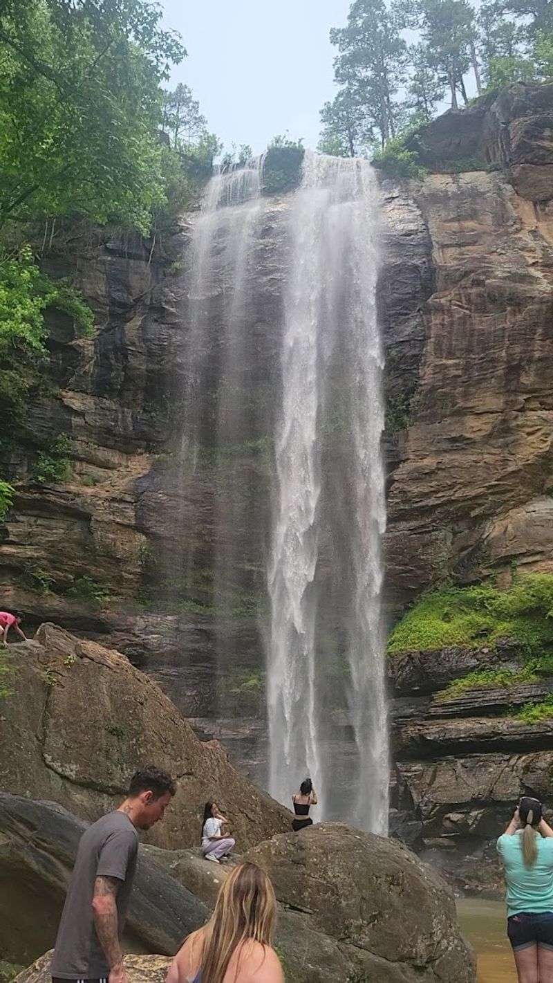 A Natural Escape Close To Northeast Georgia