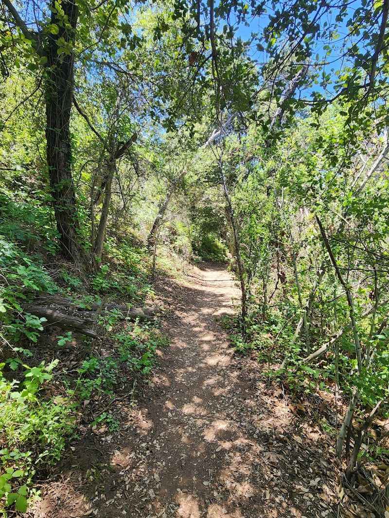 Safety, Gear, And Smart Preparation Are Important For This Hike