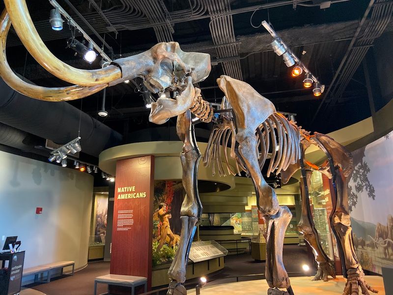 Natural History On A Grand Scale