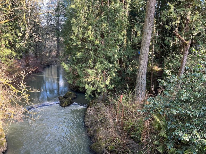 The Sound Of Running Water