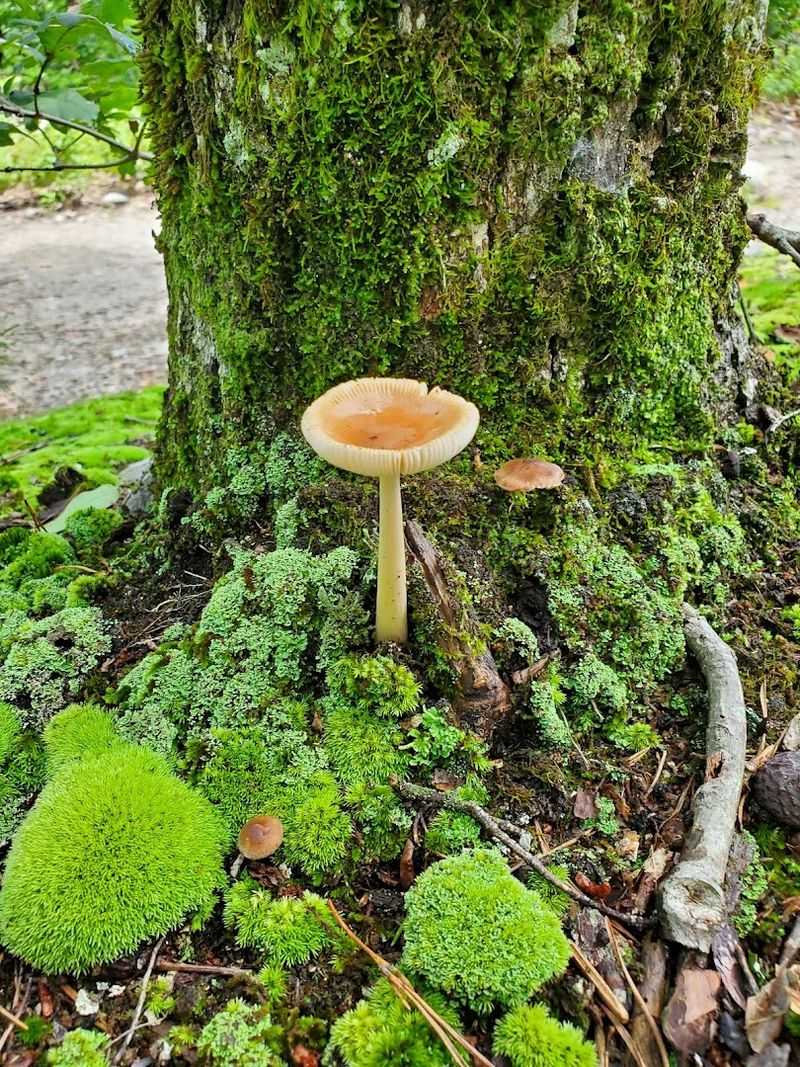 Wildlife And Quiet Surprises