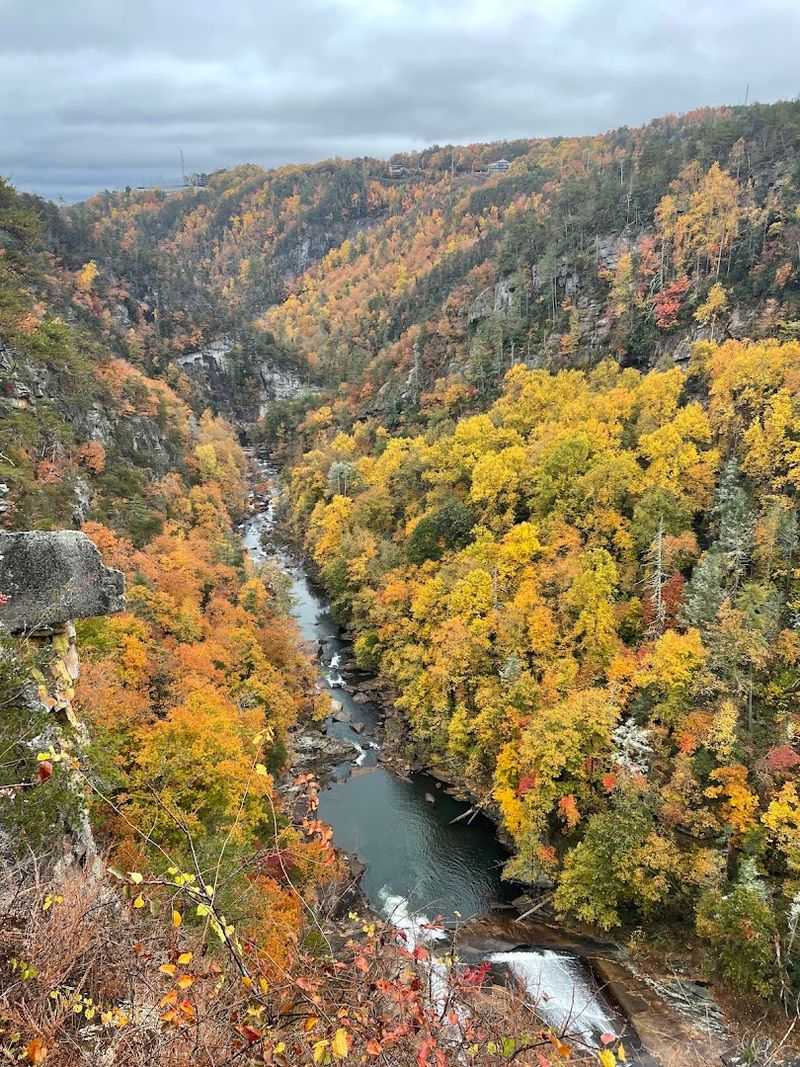 Fall Foliage That Transforms The Park Into A Painting