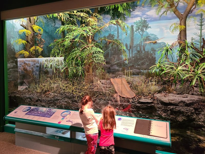 The Museum's Interactive Programs And Events