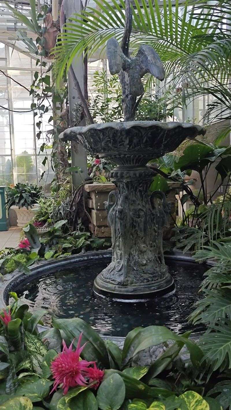 Tropical Rainforest And Butterflies