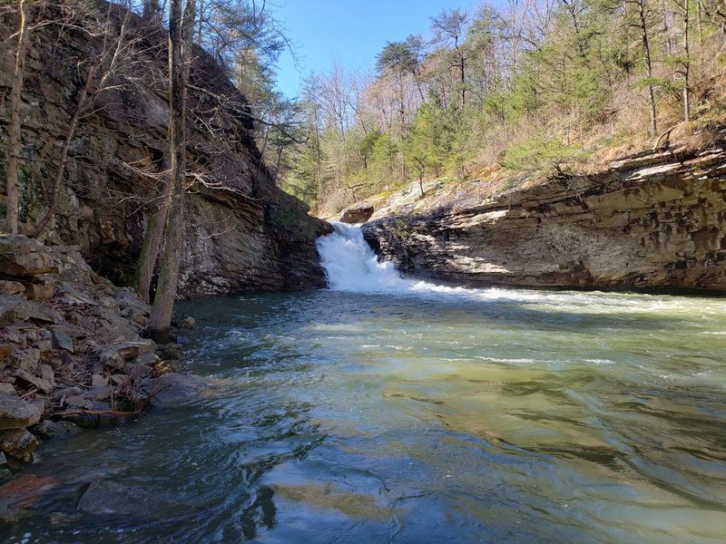 Picnic-Friendly Spots Near the Water