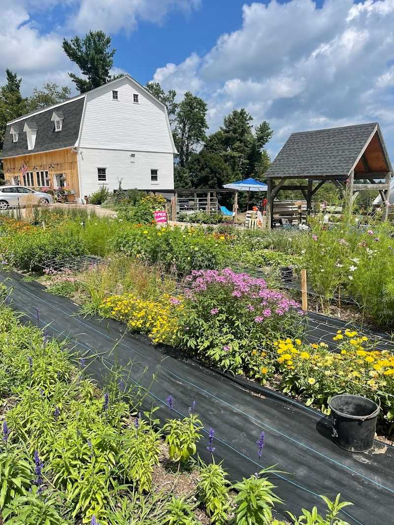 This Connecticut Wildflower Farm Looks Like A Dreamy Meadow You Can Walk Through - Decor Hint A Peaceful Escape For Flower Lovers