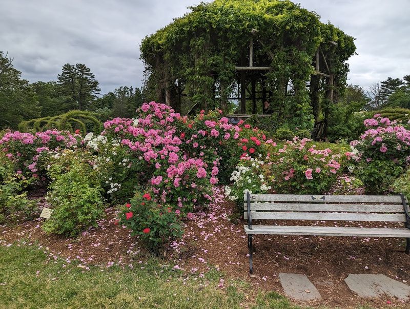Where To Slow Down And Take It All In