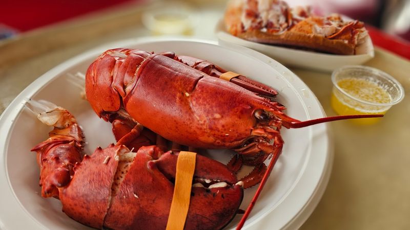 This Legendary Connecticut Restaurant Is Hiding A Lobster Roll Seafood Fans Can't Stop Craving - Decor Hint Steamed Whole Lobster Done The Old-Fashioned Way