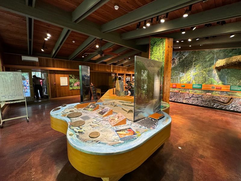 Visiting The Hoh Visitor Center
