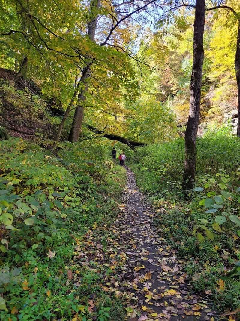 What The North Trail Actually Looks Like