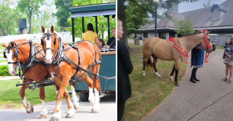 The Most Beloved Kentucky Destination For Spring Break Is Unforgettable