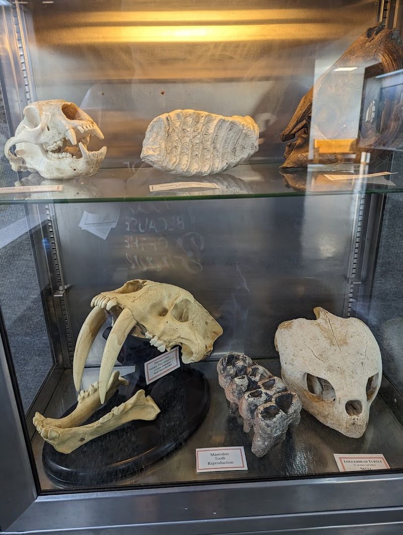 Inside The Interpretive Museum