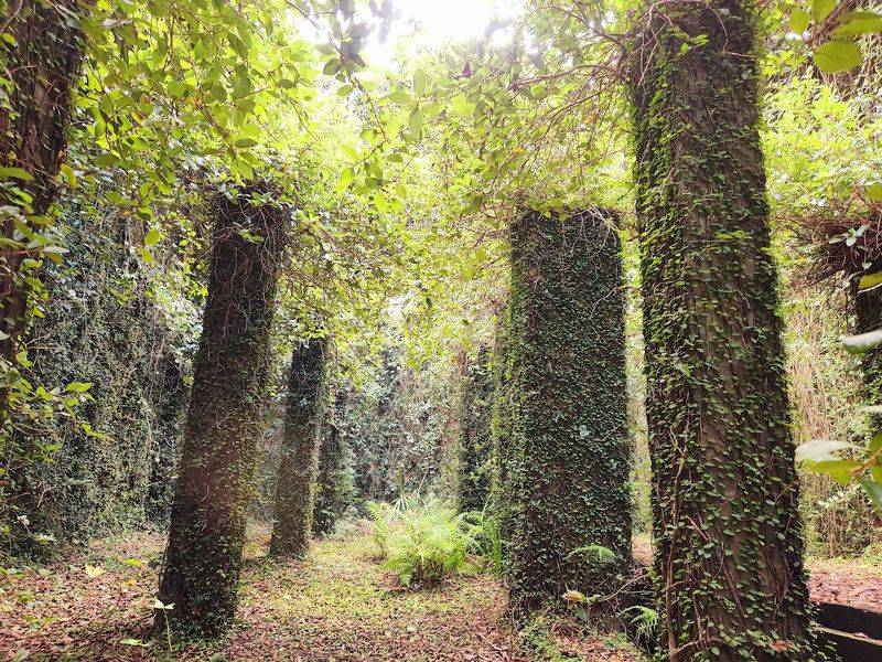 The Mysterious Abandoned Town In Florida That Few People Dare To Explore - Decor Hint The Ghost Town That Time Forgot