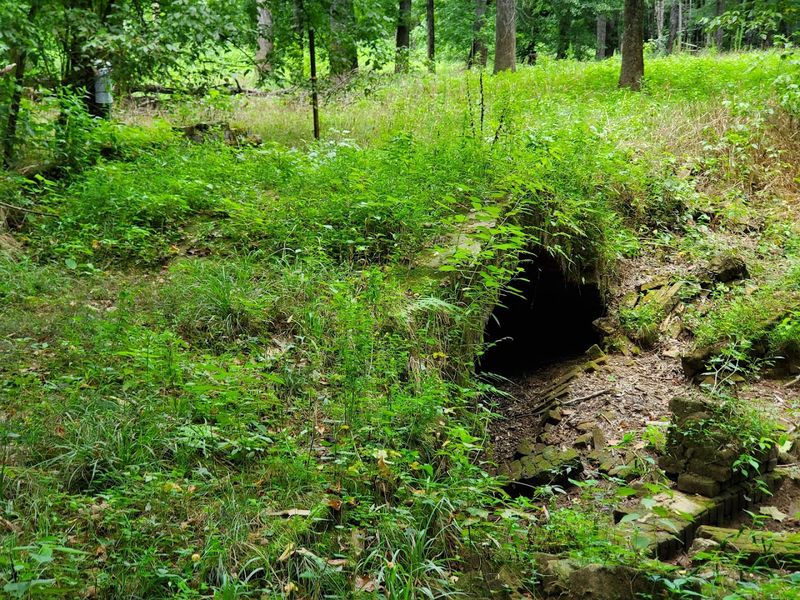 Wildlife And Nature Along The Oconee National Forest Trails